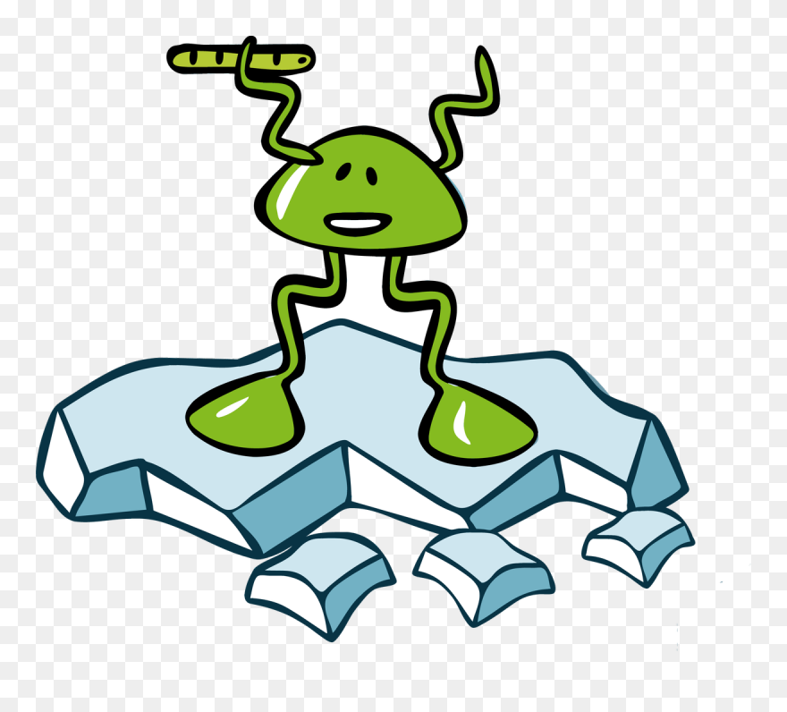 Transparent Frog School Clipart - Png Download