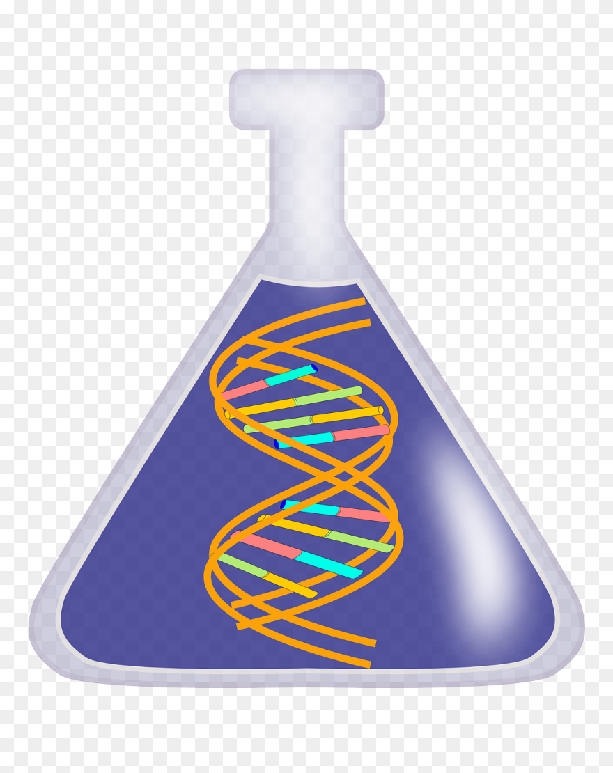 Uploaded By Megl - Dna Png Clip Arts Transparent Png