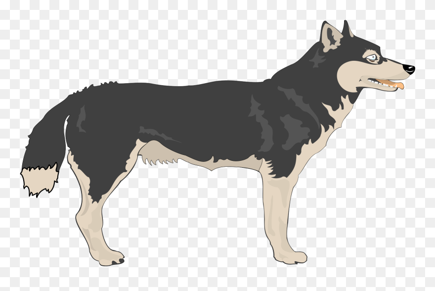 Wolf Animals Clipart - Png Download