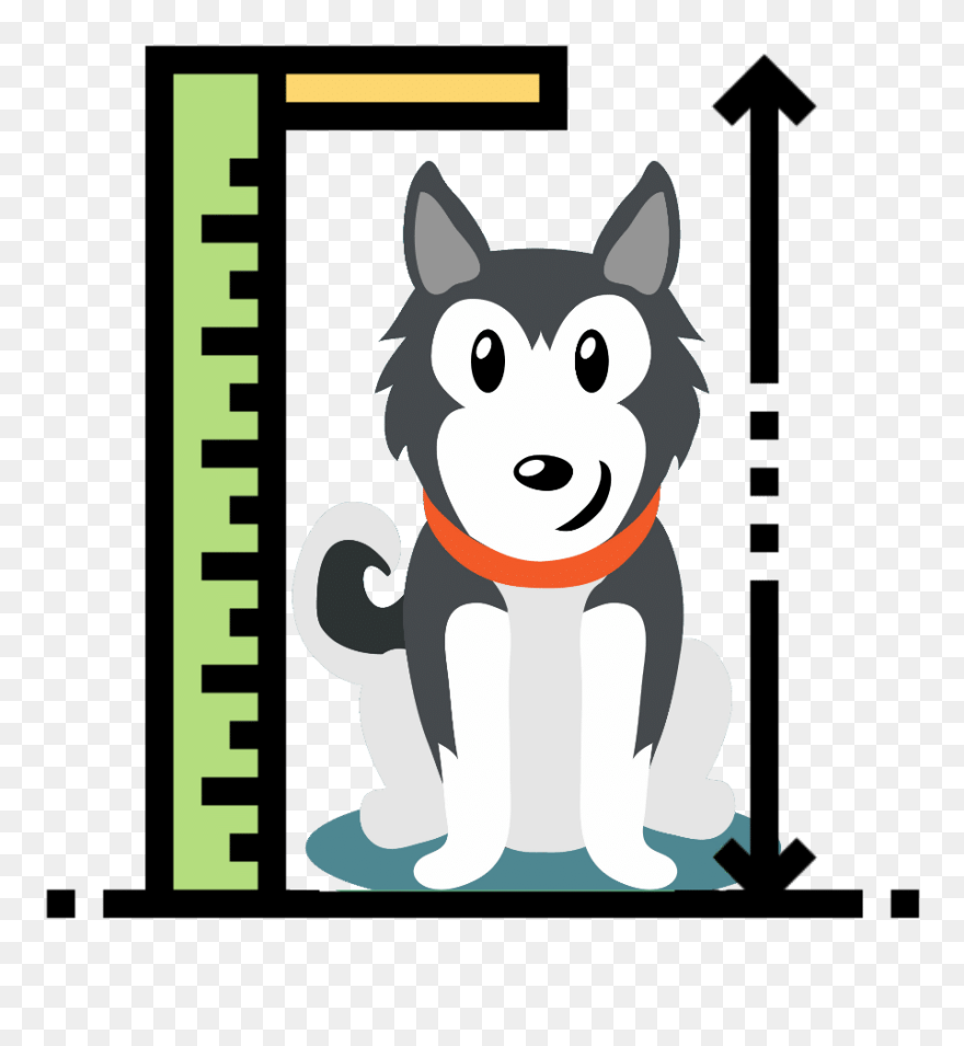 Siberian Husky Size - Ruler Measuring Height Clipart - Png Download