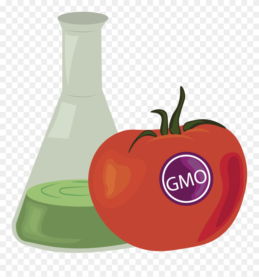 What"s Really Gmo Ing On"
 Class="img Responsive True - Squash Clipart