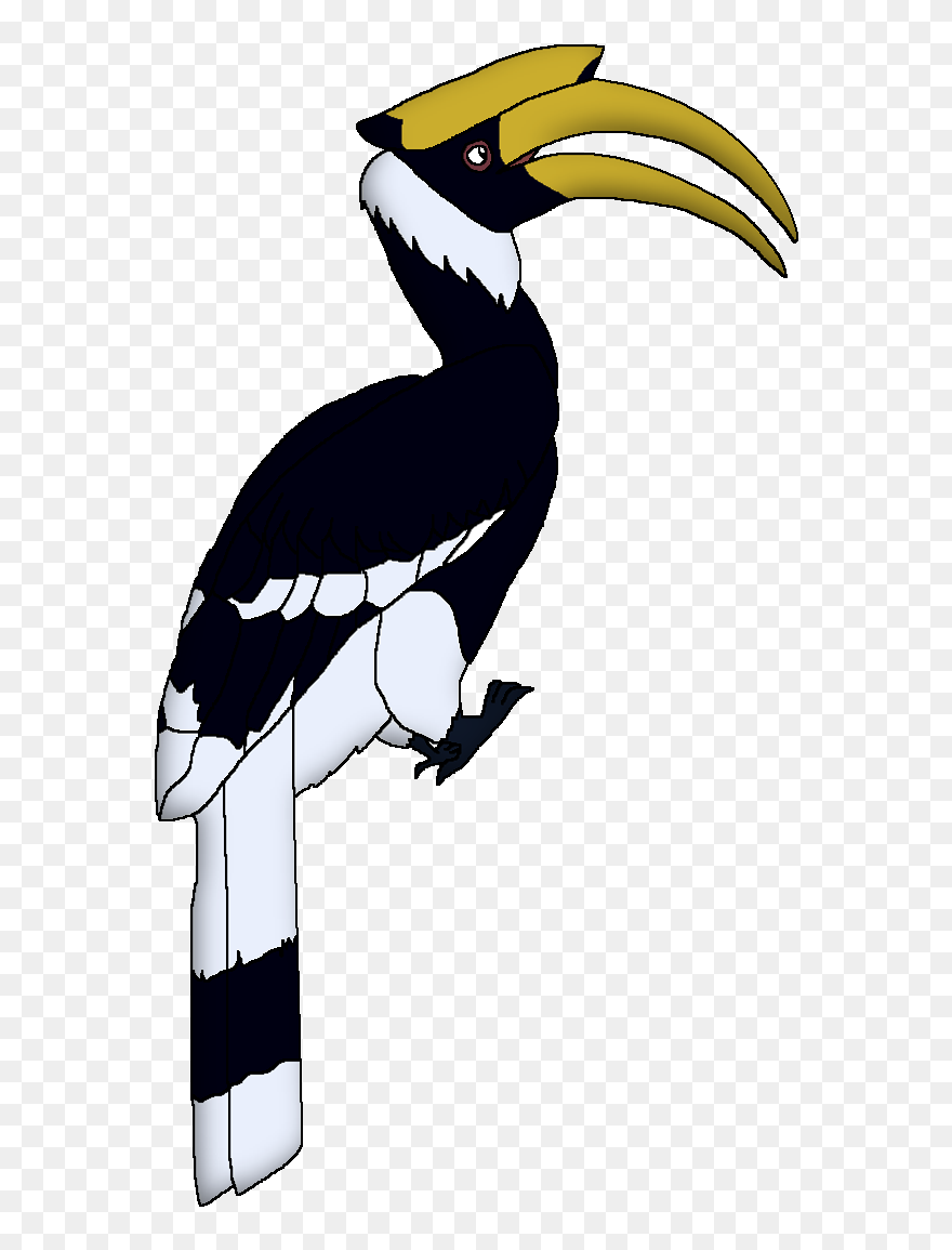 Wildlife Animal Pedia Wiki - Great Hornbill Transparent Clipart