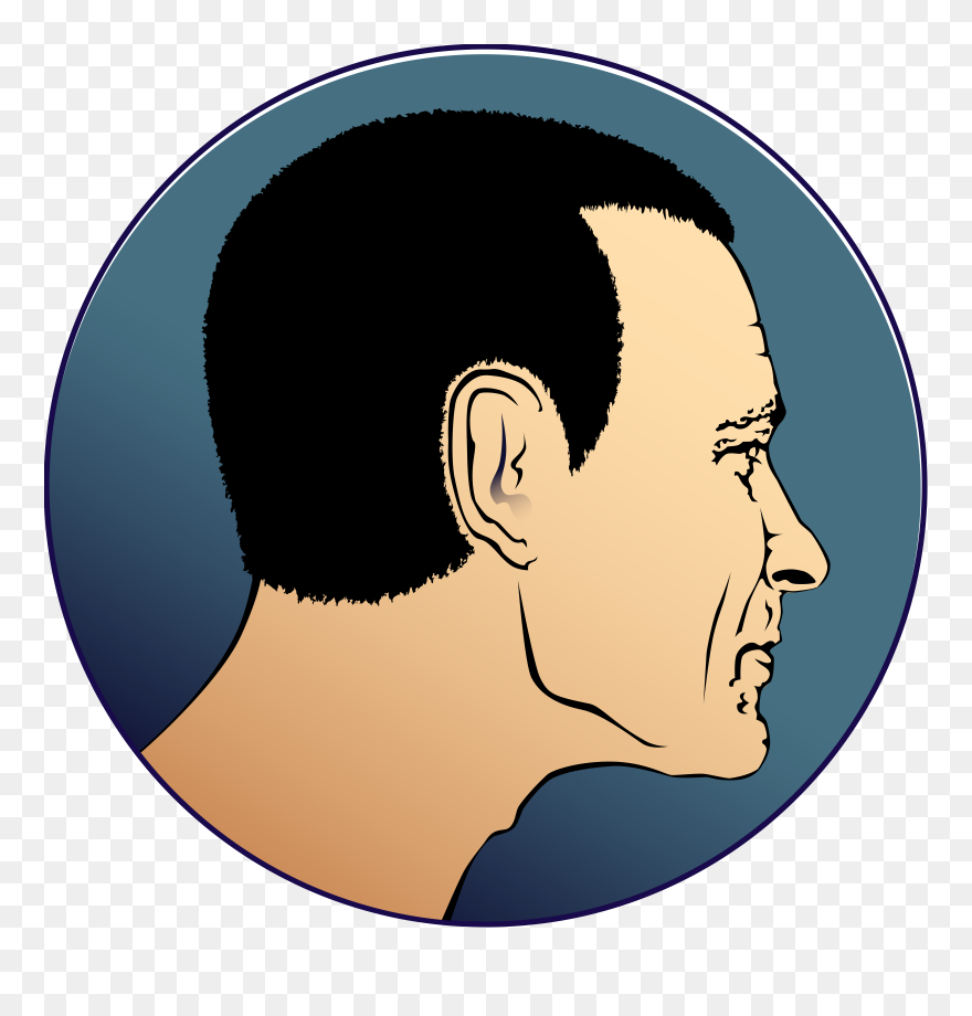 Drake Face Png Clipart