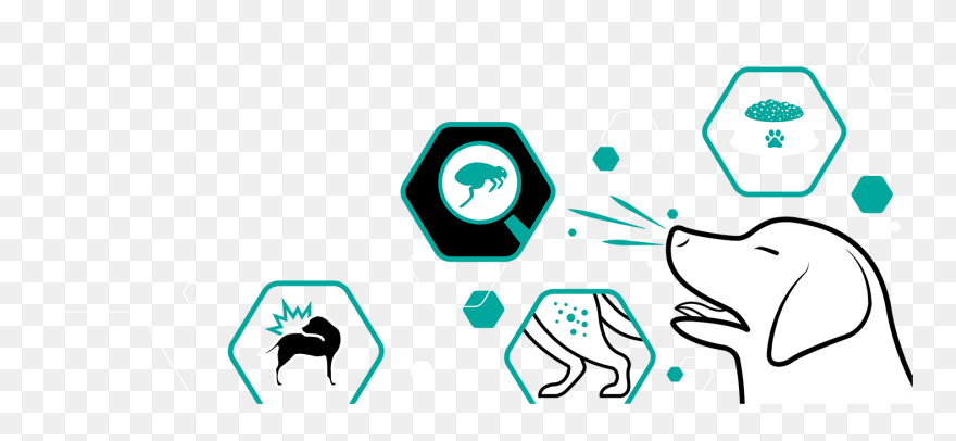 Clip Art - Png Download