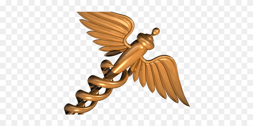 Illustration Clipart