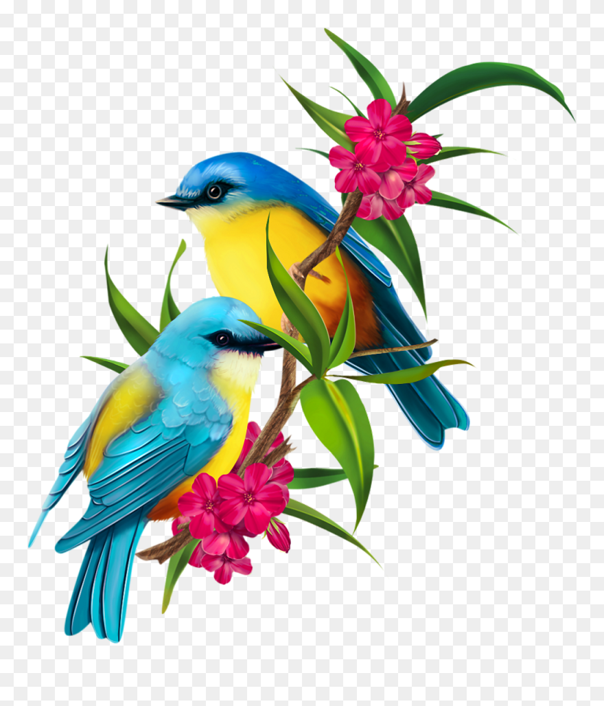 Passaros Aquarela Png Clipart