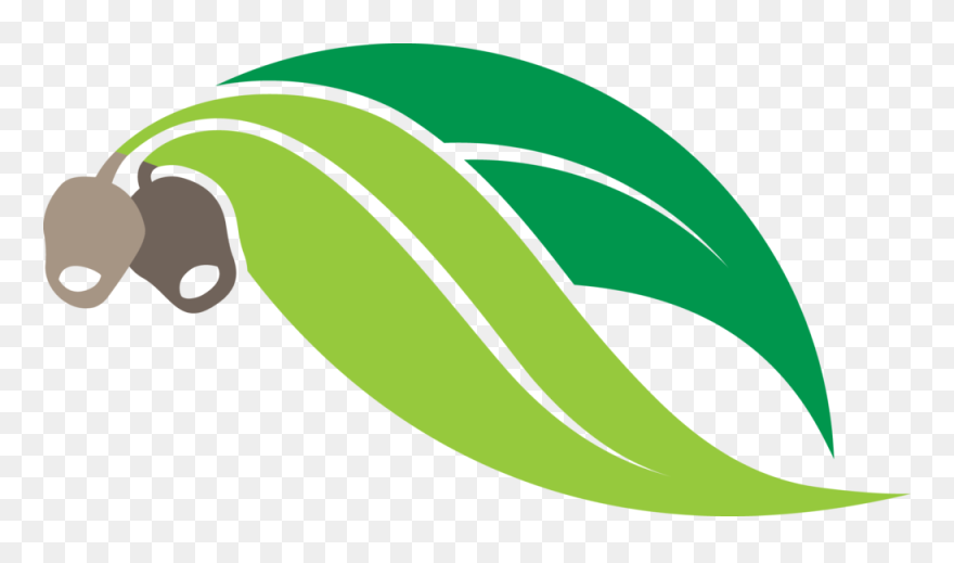 Leaf Clipart Logo, Leaf Logo Transparent Free For Download - Gum Leaves Clip Art - Png Download