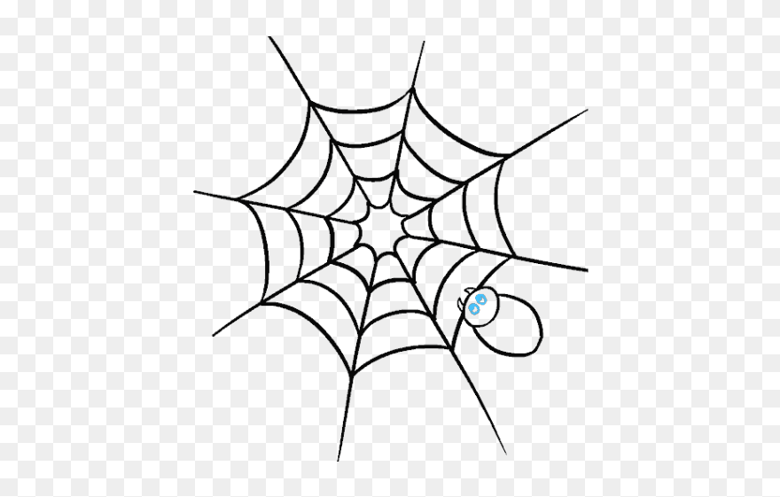 Spider In A Web Drawing Clipart