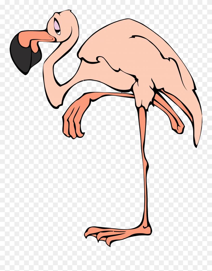 Flamingo Clip Art - Png Download