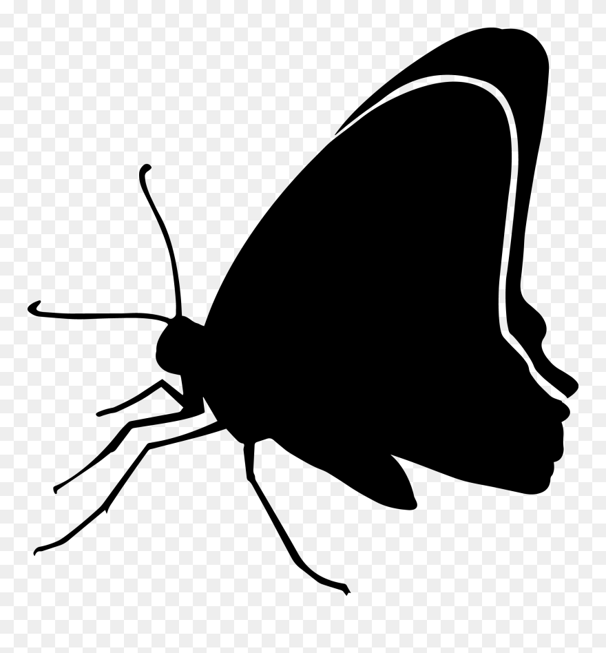 15 / Black Butterfly Clip Art Silhouette Image - Black Butterfly Png Transparent Png