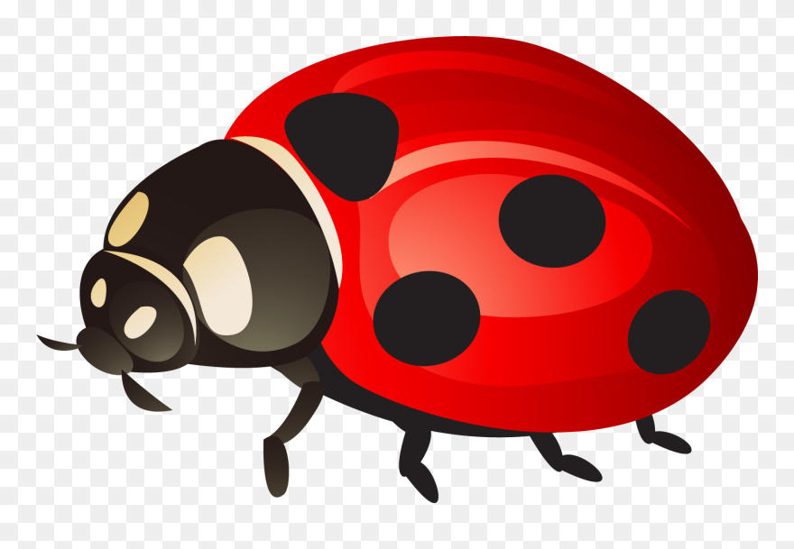 Ladybird Beetle Clip Art - Ladybug Png Transparent Png