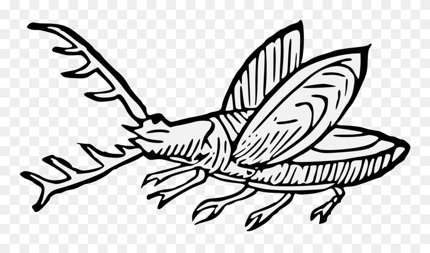 Clip Art - Png Download