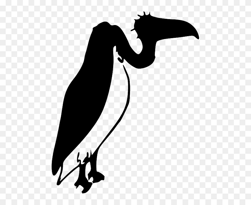 Vulture, Bird, Black, Silhouette - Silhouette Vulture Clipart - Png Download