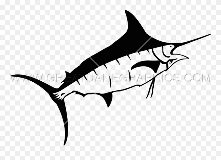 Atlantic Blue Marlin Clipart