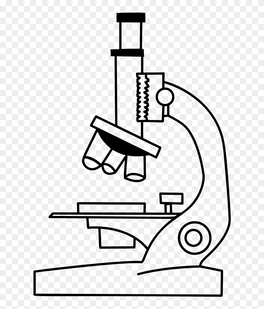 Collection Of Free Microscopes Drawing Label Clipart - Science Microscope Clipart - Png Download