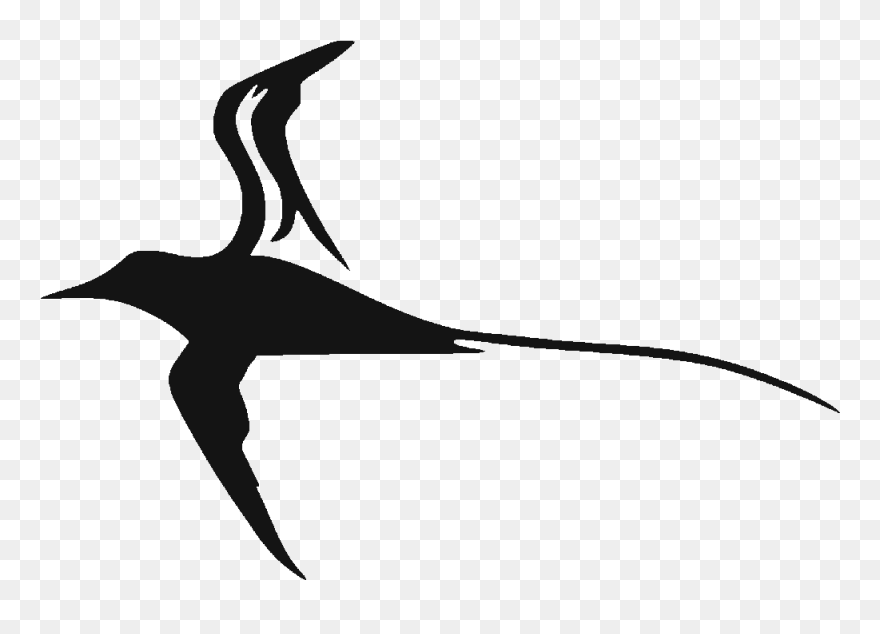 Sticker Decal Tropicbirds Logo - Paille En Queue Clipart