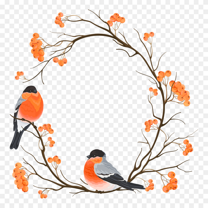 Branch Chinese Round Bird Eurasian Bullfinch Embroidery - Bird Sitting On A Tree Branch Png Clipart