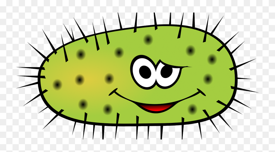 Transparent Bacteria Cartoon Gif Clipart