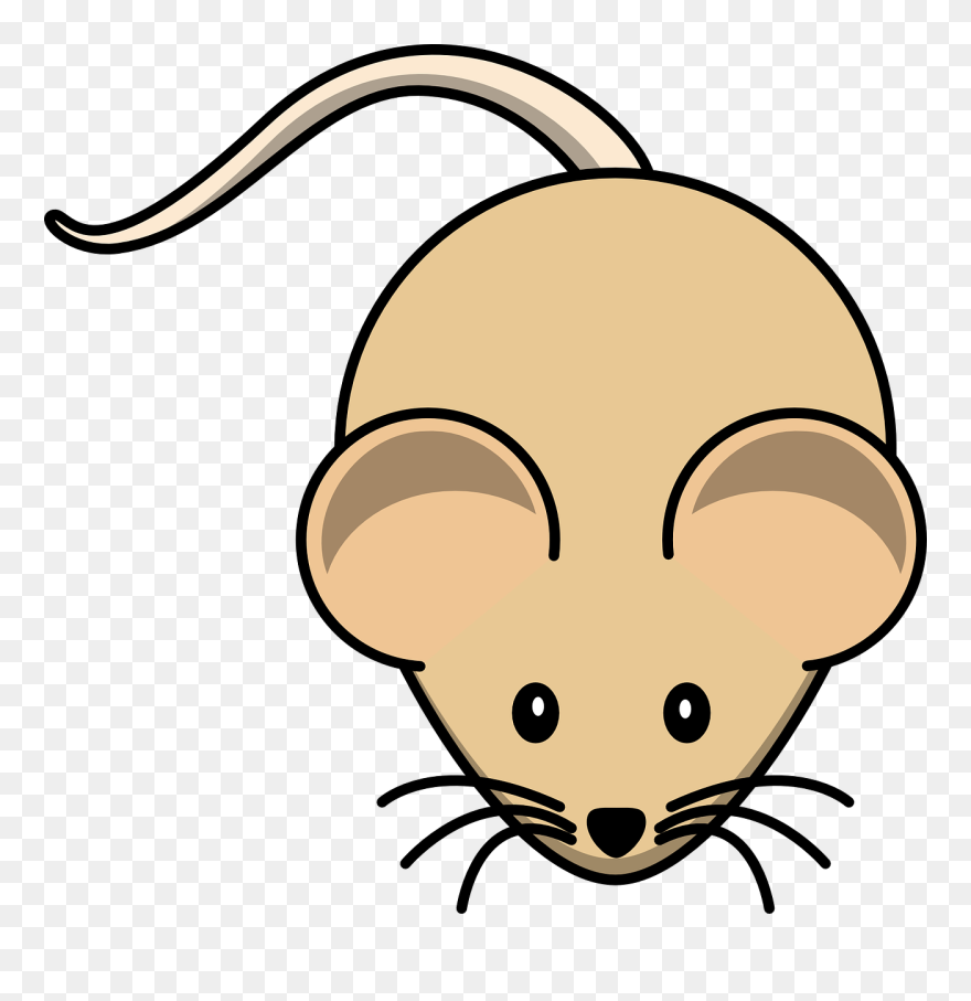Male Mouse Cartoon Clipart