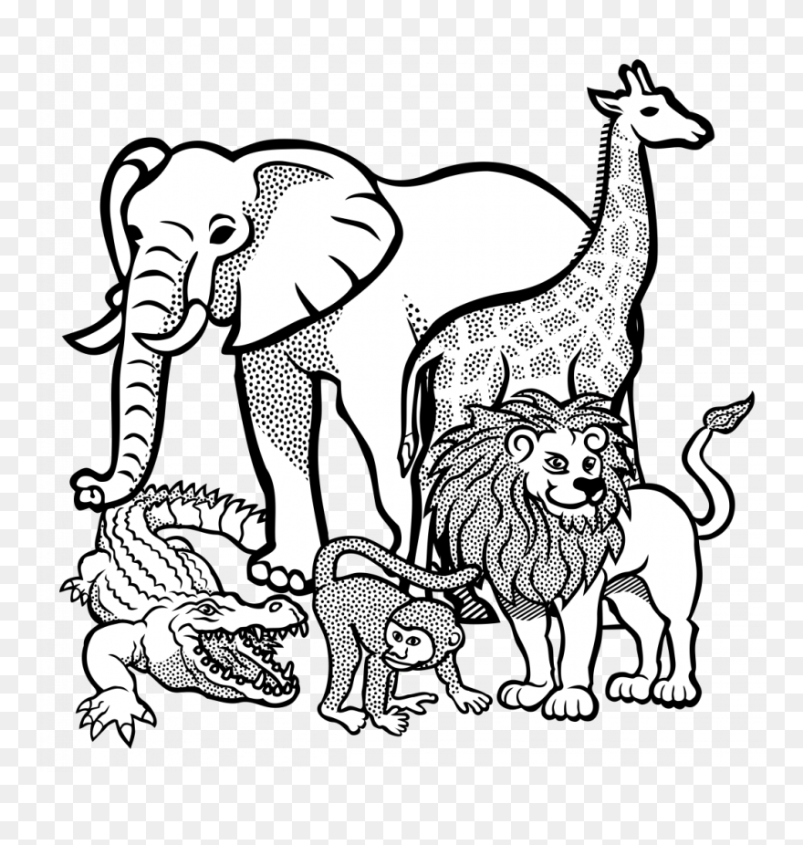 Nice Elephant Drawing Outline Collection Of Free Elephants - Wild Animals Colouring Pages Clipart