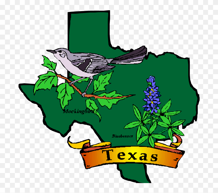 Mental Health Clip Art - Texas State Symbols Clipart - Png Download