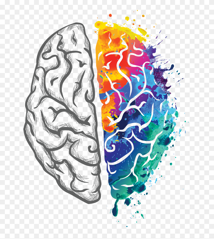 Left And Right Brain Transparent Clipart