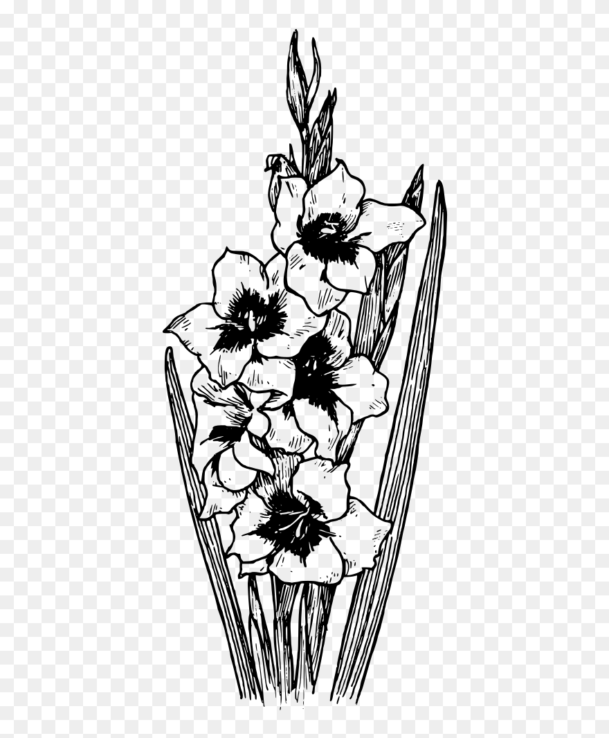 Black And White Flowers Svg Clip Arts - Flower Tattoos Gladiolus Black And White - Png Download