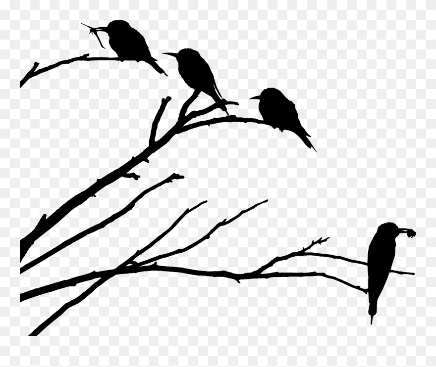 Wildlife,flora,leaf - Bird On Branch Silhouette Png Clipart