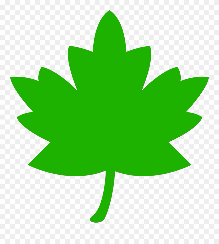 Icon Leaf Green Tree Nature Png Image - Green Fall Leaves Clipart Transparent Png