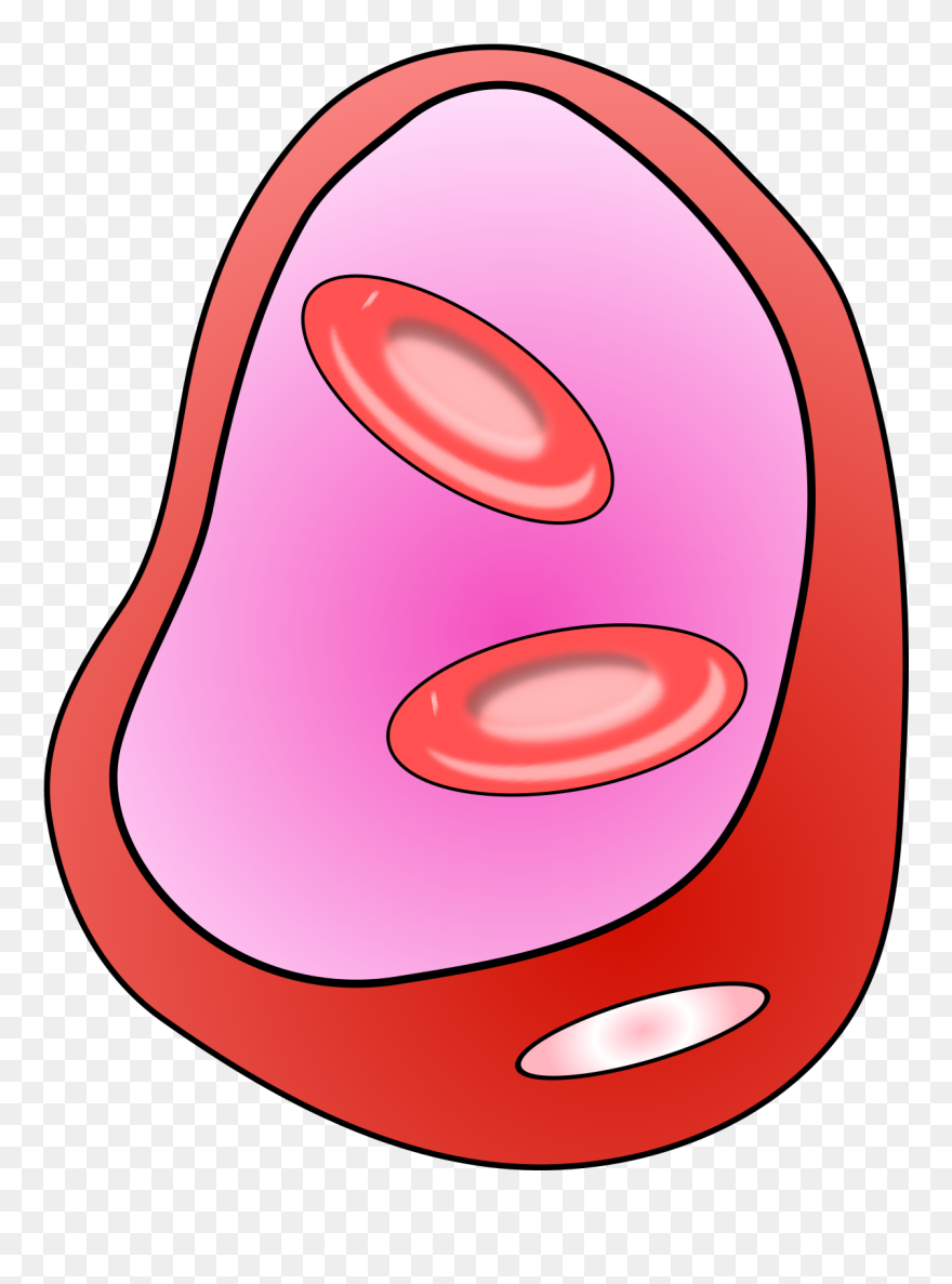 Clip Art - Png Download