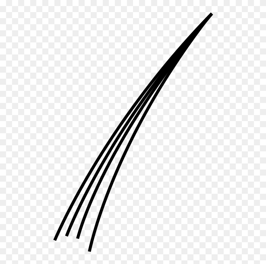 Scaphopod - Tusk Shell Clipart