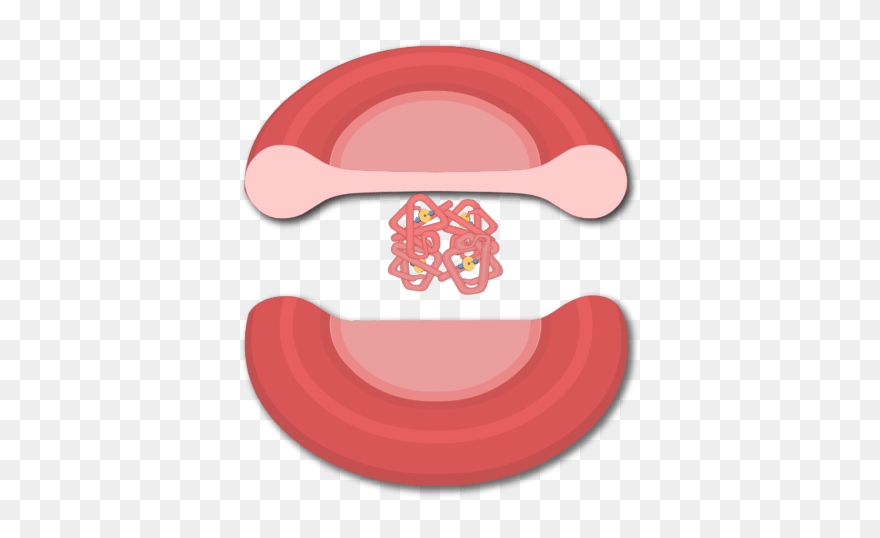 Red Blod Cells Hemoglobine Clipart