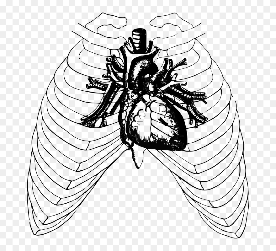 Real Transparent Background Heart Clipart