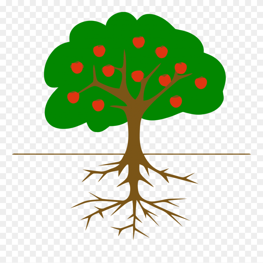 Picture - Tree Clip Art - Png Download