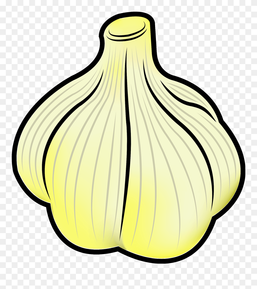 Garlic Clipart - Png Download