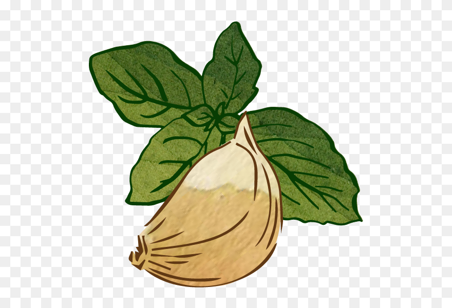 Illustration Clipart