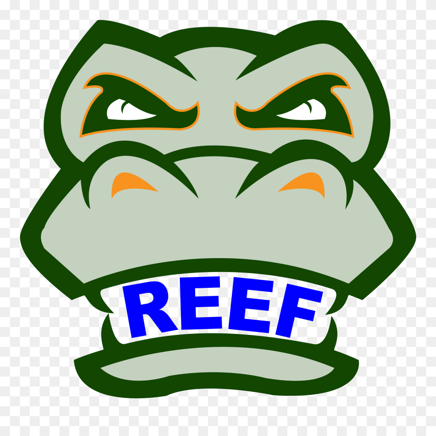 Drawing Alligator Face Clipart