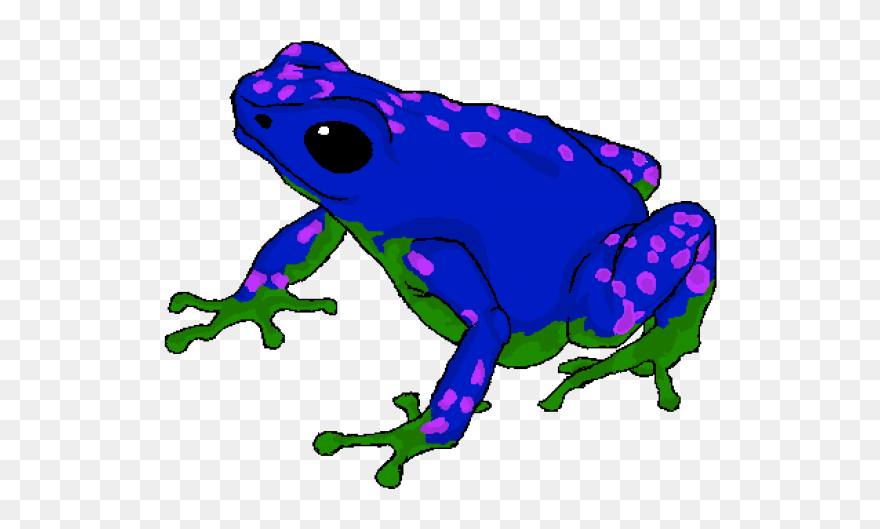 Poison Dart Frog Cartoon Clipart