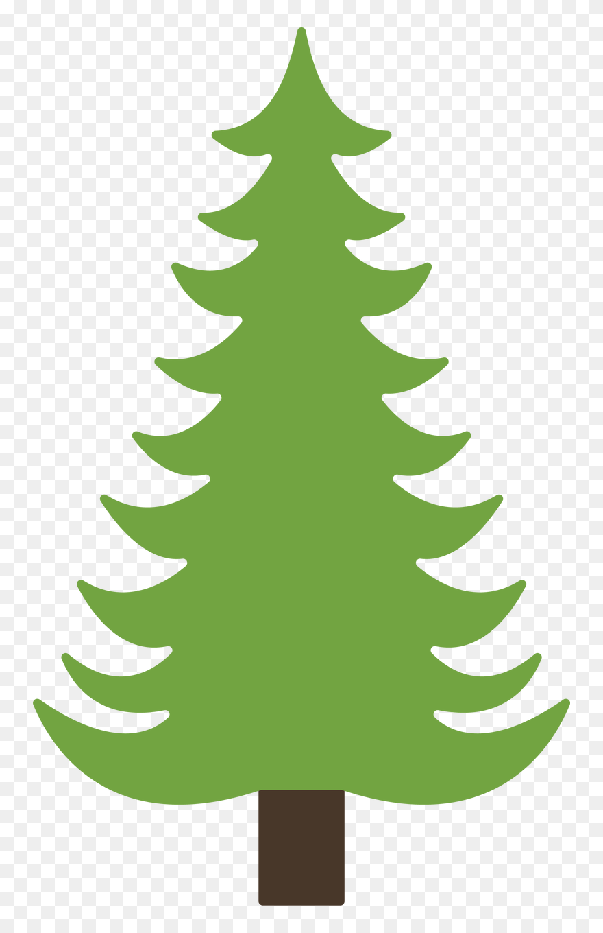 Pine Tree - Cartoon Pine Tree Drawing Clipart