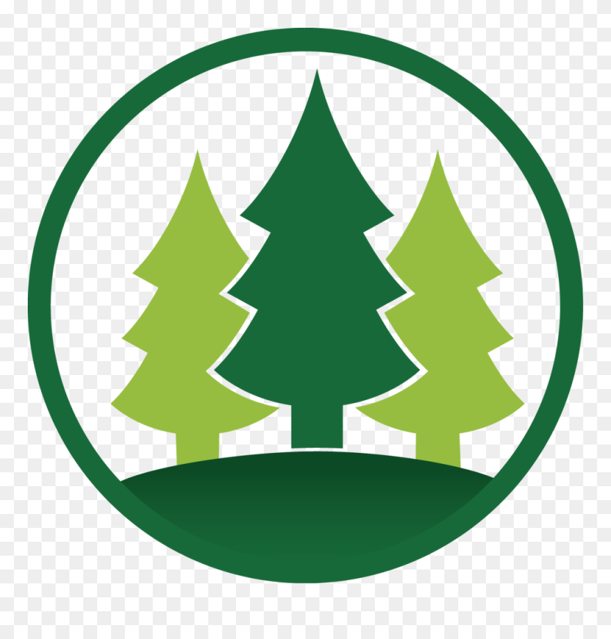 Sequoia Tree Clipart Image Stock Quaker Meadow Christian - Illustration - Png Download