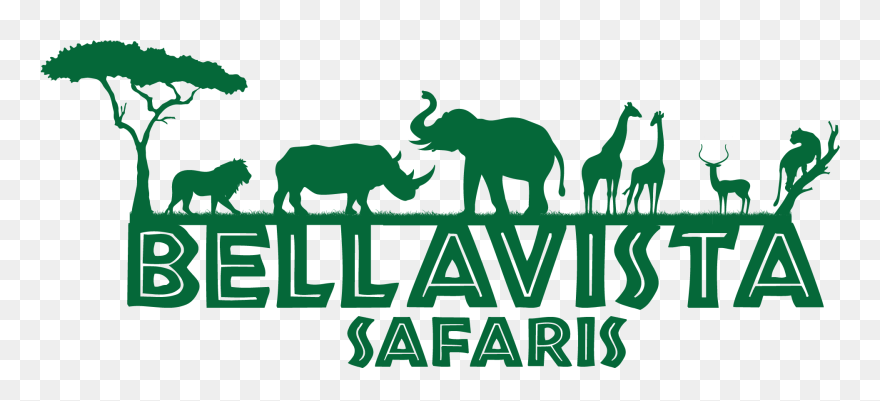 Bellavista Safaris - Indian Elephant Clipart