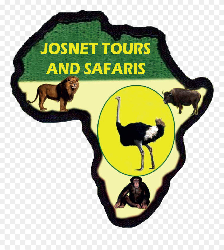 Magellan Logo Clipart