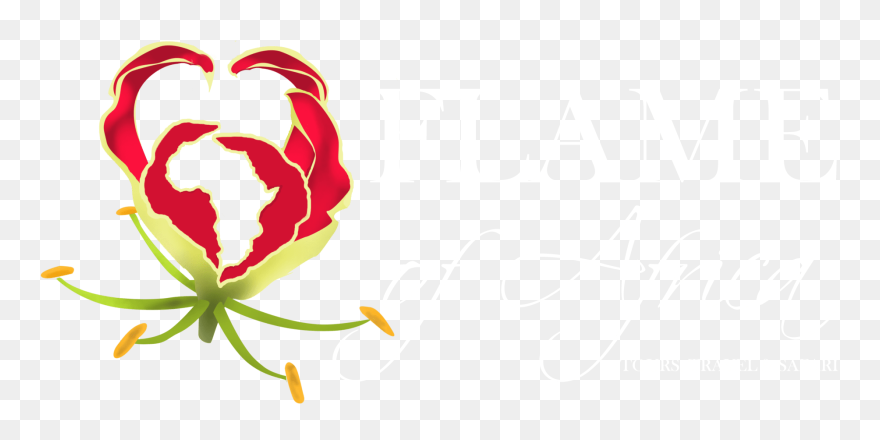 Gloriosa Superba Png Clipart