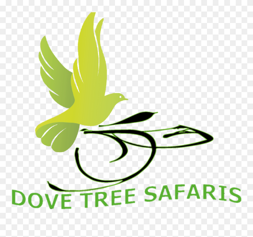 Dove Clipart