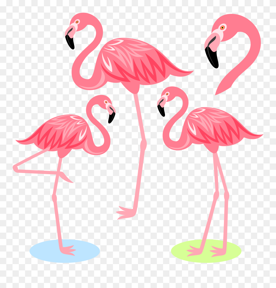 Flamingo Bird Illustration Cartoon Free Frame Clipart - Cartoon Flamingo - Png Download