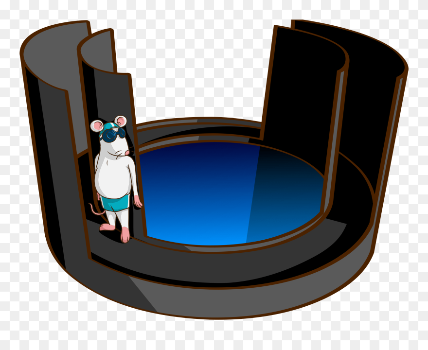 Water Associated Zero Maze Clipart