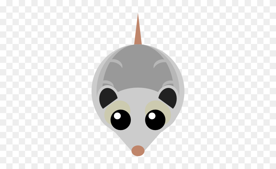 Opossum Art Clipart