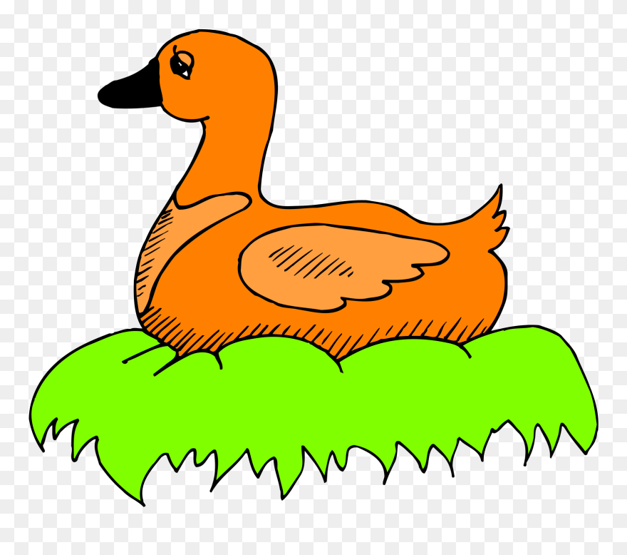 Green, Orange, Bird, Duck, Color, Art, Sitting, Nest - Duck In Its Nest Clipart - Png Download
