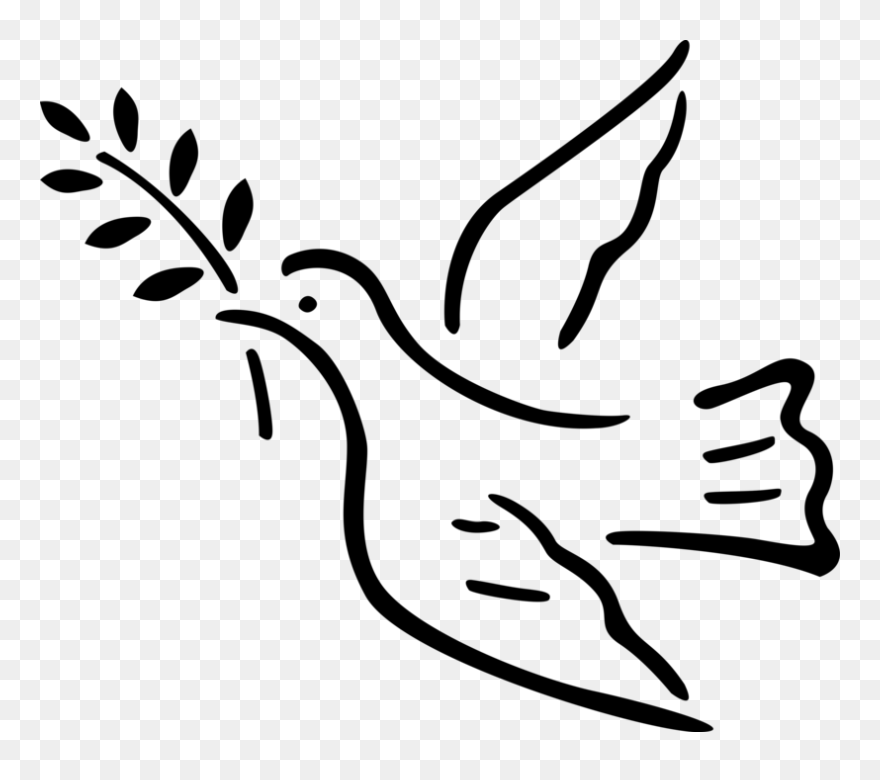 Vector Illustration Of Dove Bird With Olive Branch - Spiritual Clipart - Png Download