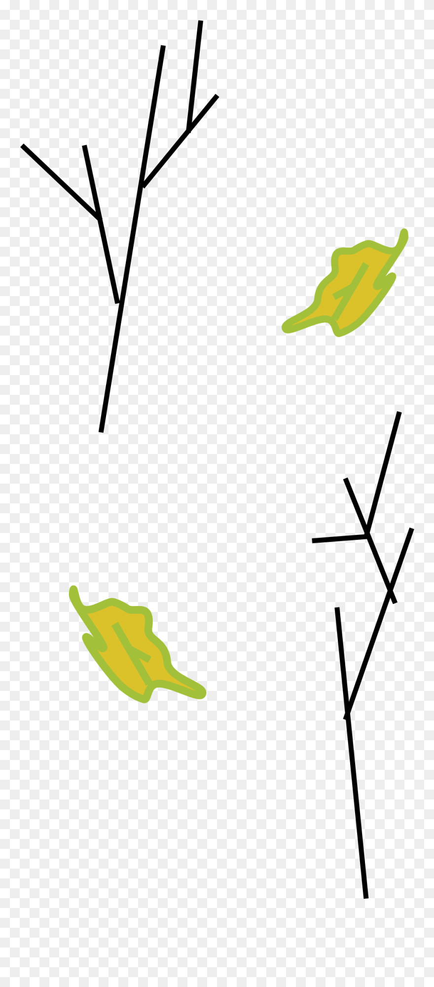 Branches And Leaves Clip Arts - Png Download